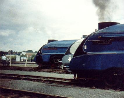3 Class A4 locos together 3/7/88, York. 4498 Sir Nigel Gresley, 4464 Bittern & 4468 Mallard.