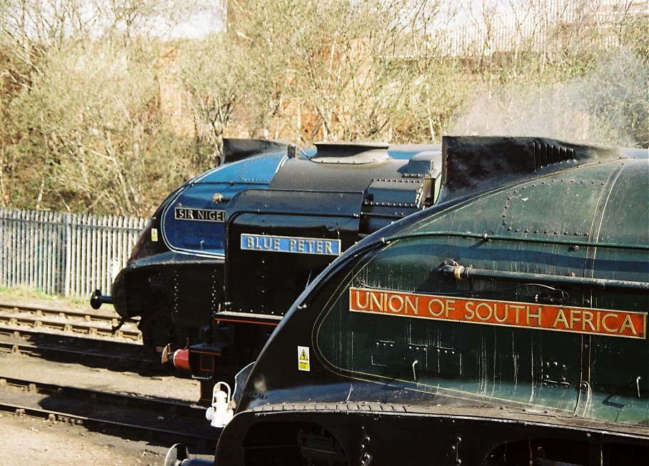 Gresley A4 60007 Sir Nigel Gresley, Peppercorn A2 60532 Blue Peter and Gresley A4 60009 Union of South Africa.