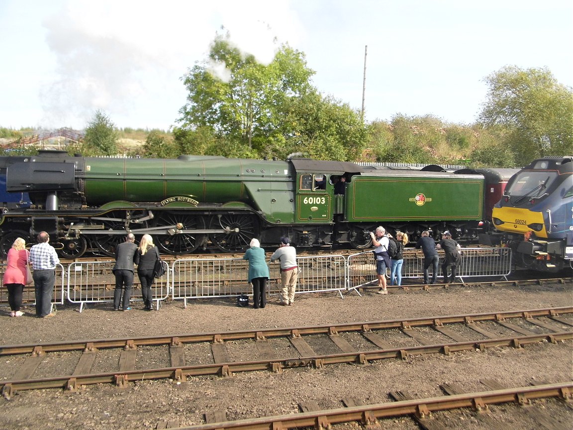 46009 'Operation Smash Hit' display, Sat 28/12/2013. 