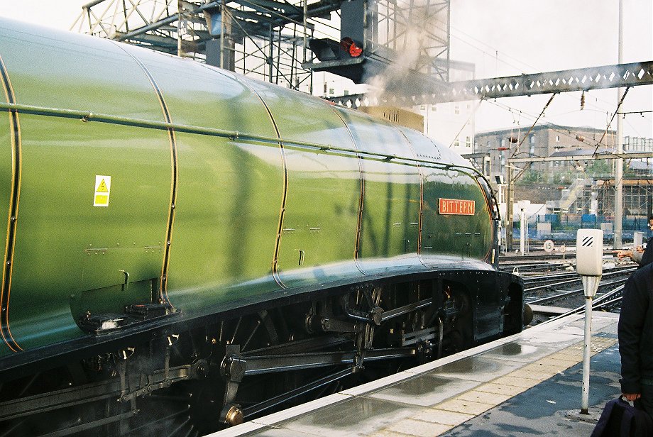 60019 Bittern at London King's Cross. 30/09/2010.