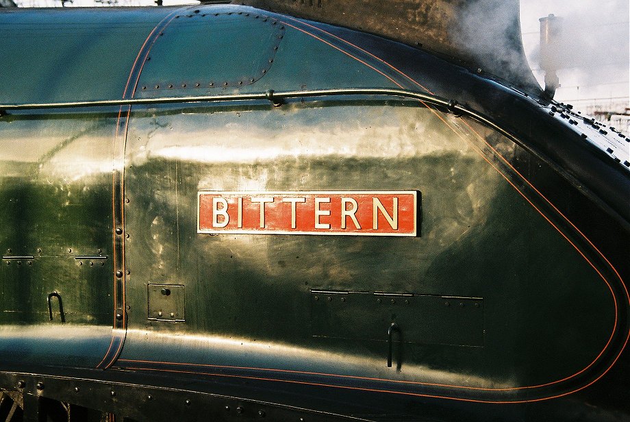 60019 Bittern at London King's Cross. 30/09/2010.