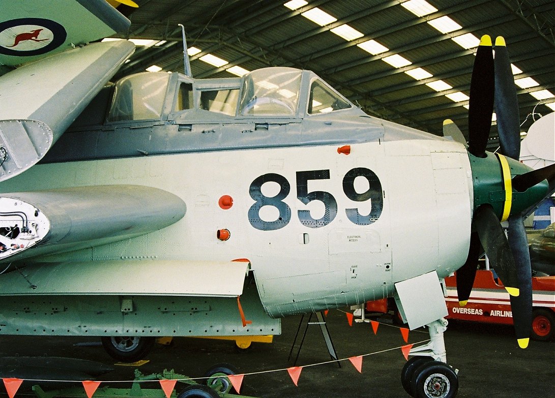 Fairey Gannet, Caloundra Air Museum 2007.