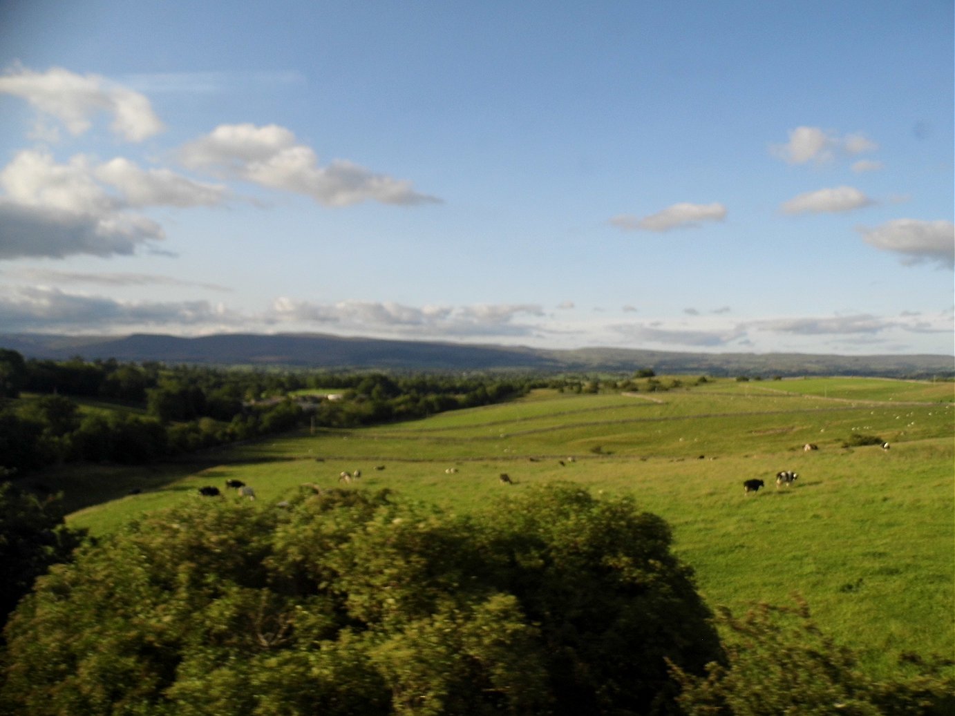  NRM York. Wednesday 03/07/2013. 