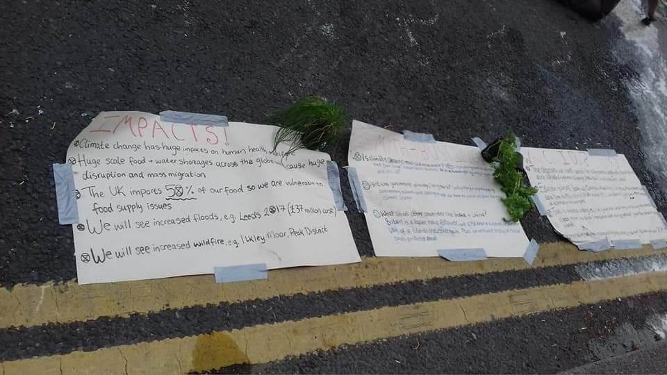 Extinction Rebellion Leeds 18th July 2019.